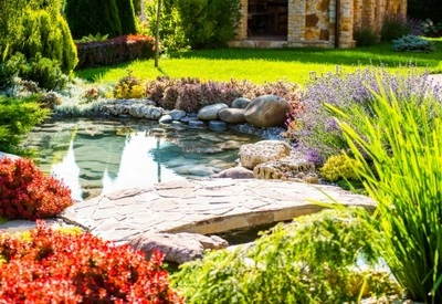 Designer de ambientes Designer de ambientes